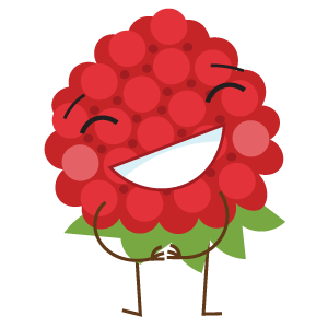 Fresh raspberries used in smoothies, crêpes, and desserts – Shanil Juice Bar Berlin, Europaplatz 10557