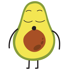 Fresh avocado used in smoothies at Shanil Juice Bar Berlin – Europaplatz 10557